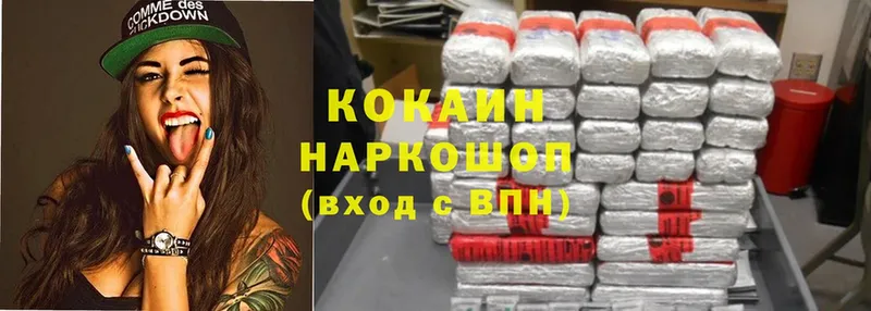 нарко площадка Telegram  Ивангород  Cocaine Fish Scale  купить закладку 